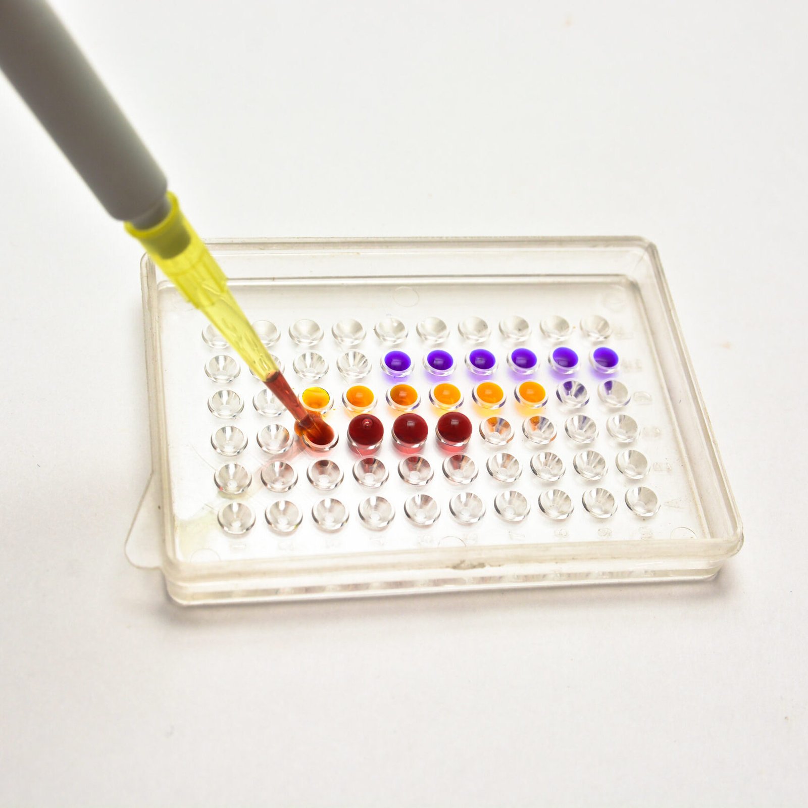 Tests in the laboratory. Application pipette samples into the wells.